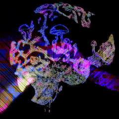 FOTY - Kreischtasy