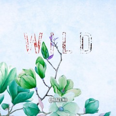 FREE Lofi Relaxing Study Reading Music Lo-Fi | Wild (prod. By Ghazeno)