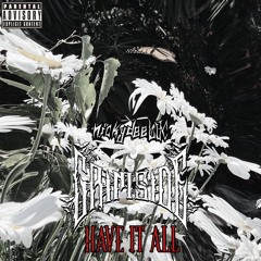HAVE IT ALL (PROD. VELVET.WAVE) (Prod. GRIMSIDELBC)