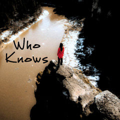 Who Knows - song by Hawkbaby #2