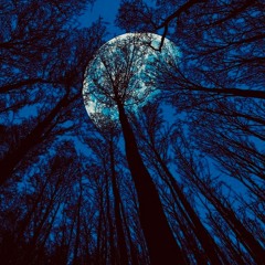 Moon Love