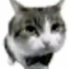 mi reaccion a tu mamada