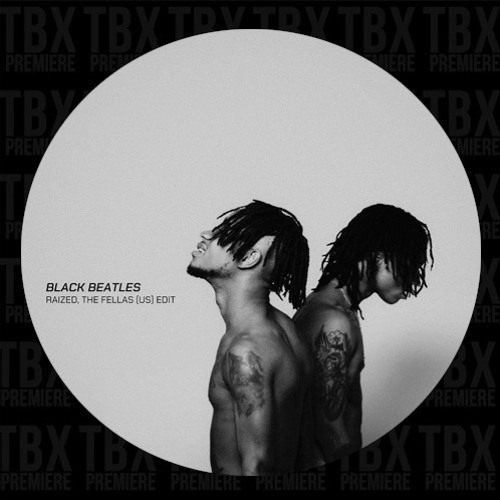 FREE DL: The Fellas (US), Raized - ML001 Edit Series