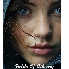 Fields of Athenry 2024 Festival Mix