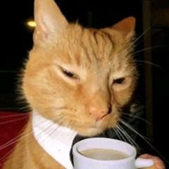 every living breathing moment|Grant Steller