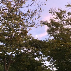 What A Beautiful Name by Hillsong United (Cover)