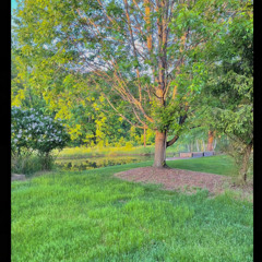 Solitude