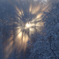 Interlude (Gorgeous city)