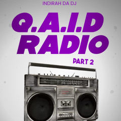 Q.A.I.D RADIO VOL 2 HOUSE EDITION