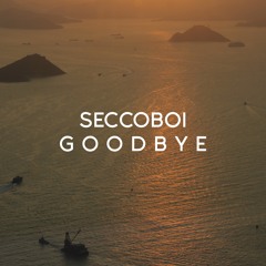 Goodbye