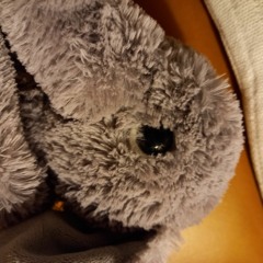 Moon puzzle island.m4a