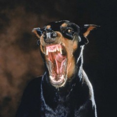 guestmix w/ DJ Luh - Rapatop Radio Tour (31.03.23)