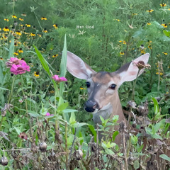 Glory (prod. darius)
