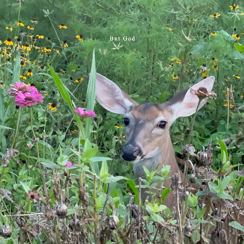Glory (prod. darius)