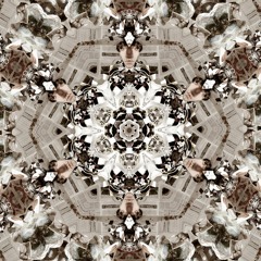 Romain Frequency - Selflessness