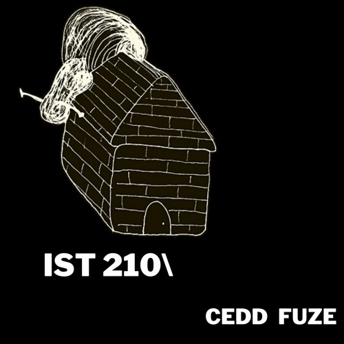 IST 210\Cedd FUZE