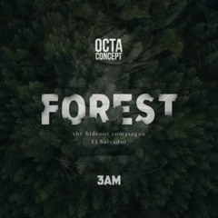 Sam Forest Contest 2025