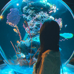 미친거니 Crazy (cover)