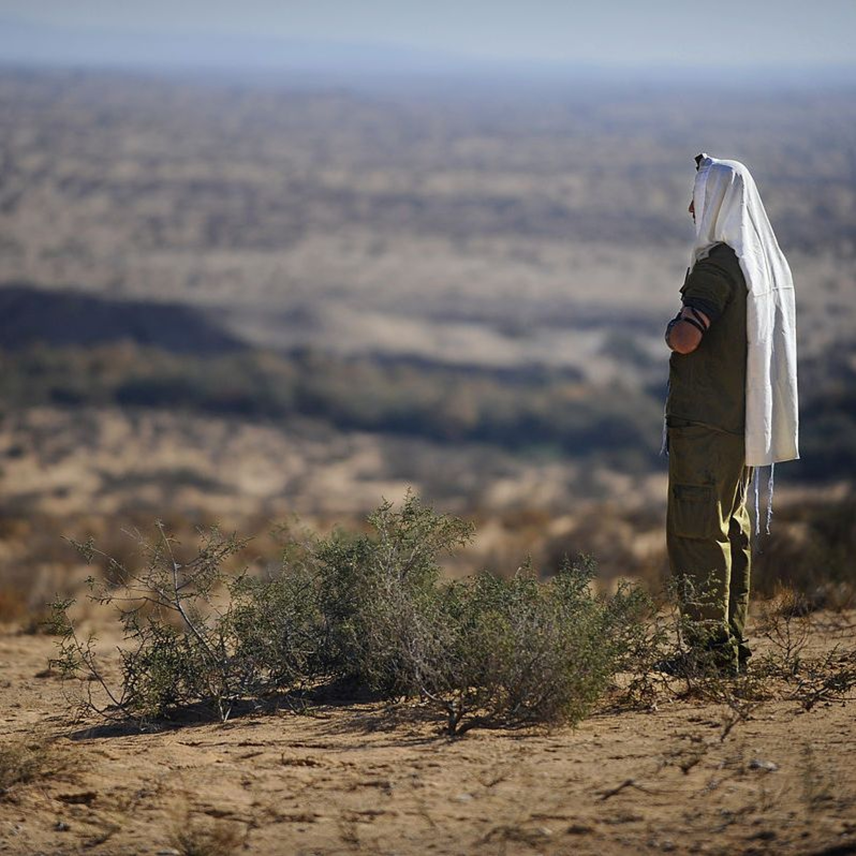 Tuesday Night Live in Judea: Discovering the Destiny of Israel as The War Goes On