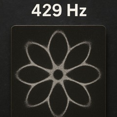 Divtec - Precision - 429Hz