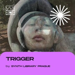 Trigger 04/22 by Synth Library Prague