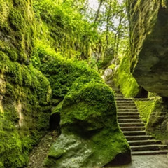 The Twelve Steps and Scripture A14: The Life Recovery Bible in Essence of Step 10 Recurrent Sins