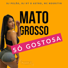 MC NEGRITIN - NO MATO GROSSO É SÓ GOSTOSA - DJ HT - DJ PELÃO -.wav
