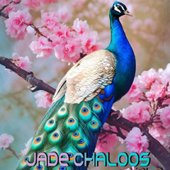 DaNiaL SMasH Jade ChalOos Vol.2