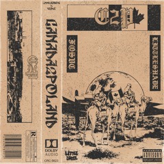 C2P (feat. Littleshade)