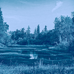Desolate (prod. blix)