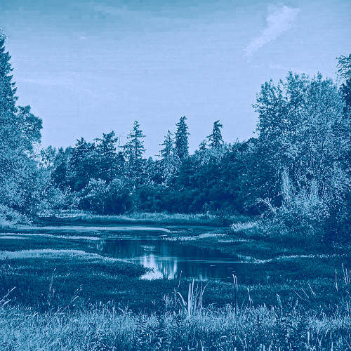 Desolate (prod. blix)