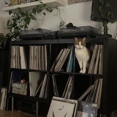 vinyl only 16 | housyhouse