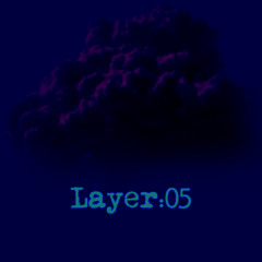 Layer:05