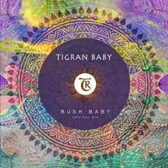 Tigran Sound - Bush Baby [Tibetania Records]