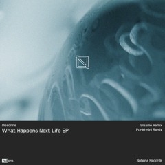 Dissonne - What Happens Next Life (Punktmidi Remix)