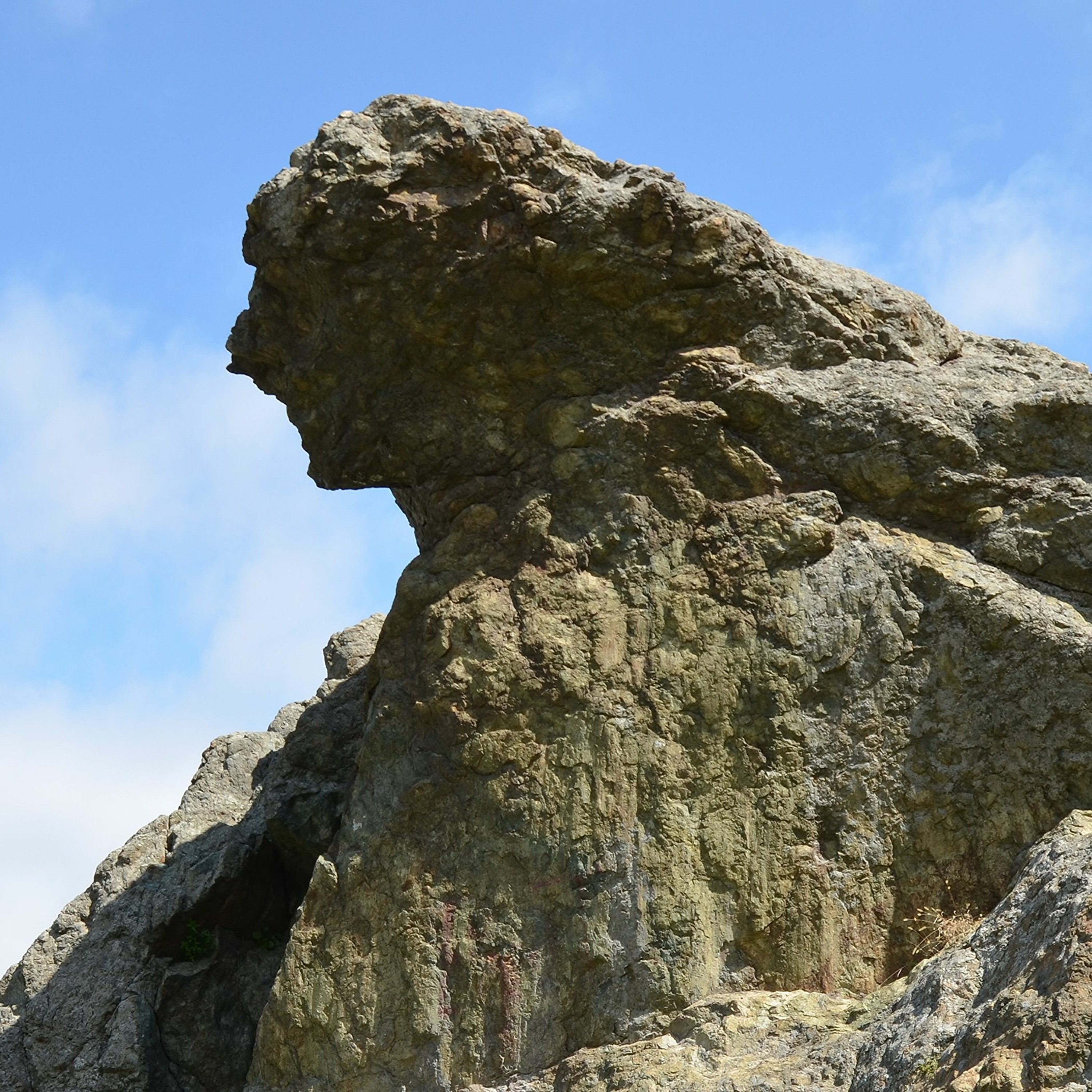 65 Tantale Niobe Et Pelops