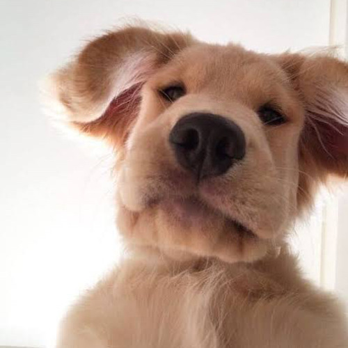 Dragostea Din Tei FT Danza Kuduro Remix . H - RMX