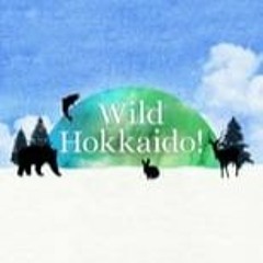 WATCHNOW! Wild Hokkaido! Season 8 Episode  FullEpisodes 67447