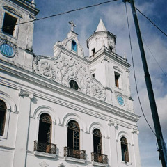 Tulipas Brancas