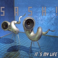 It's My Life (Radio Edit)