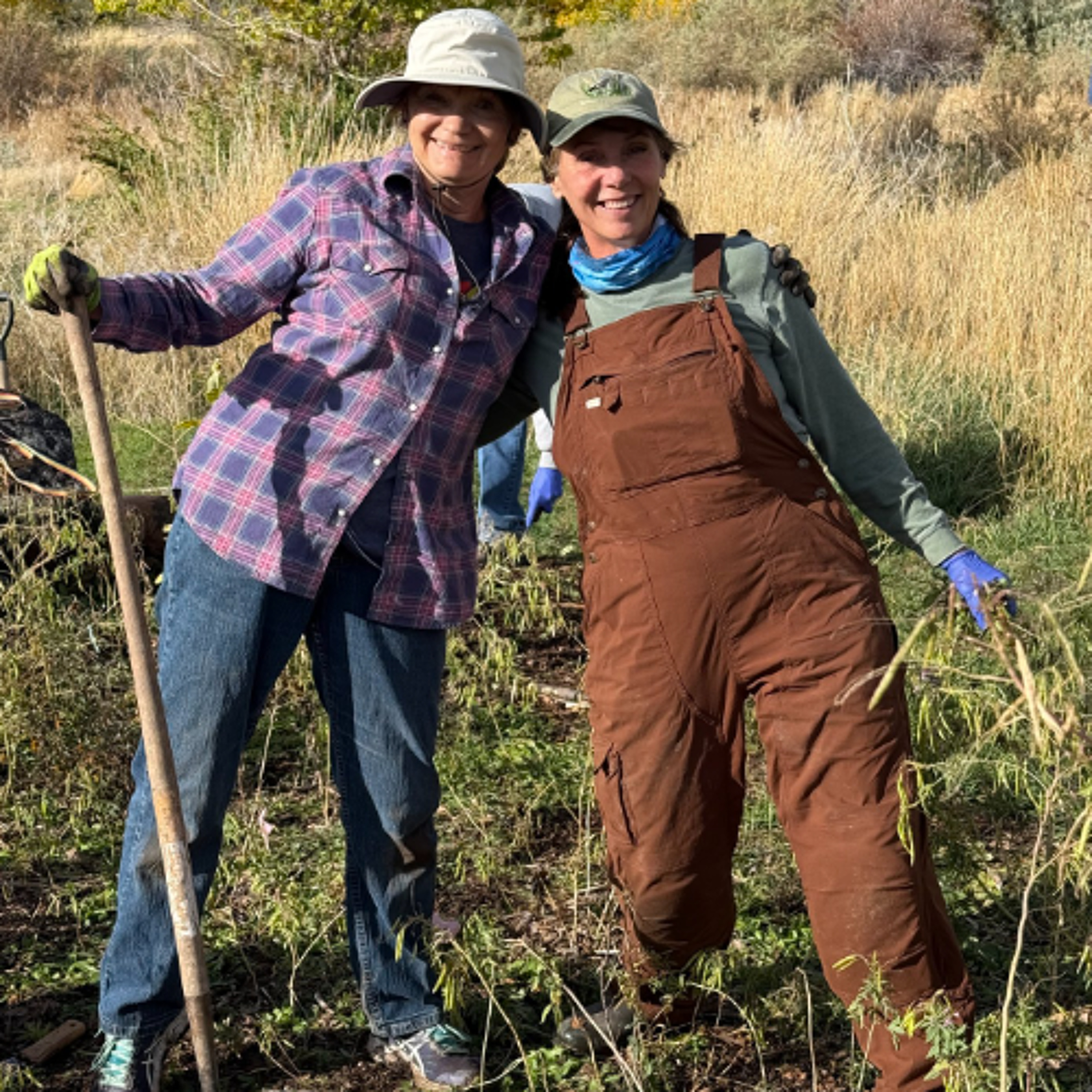 Edson Fichter Nature Area requests volunteers for upcoming season episode artwork