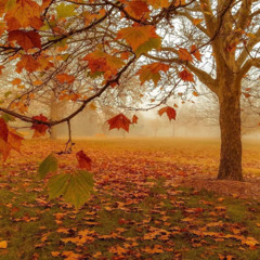 заряжаю свой мобильный (mverta) #nahhinautumn