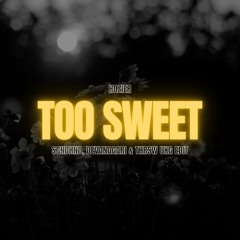 Hozier - Too Sweet (Scndhnd, DEVANAGARI & THRSW UKG Edit)