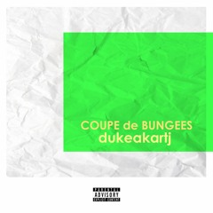 Coupe De Bungees - Unmixed - Unmastered