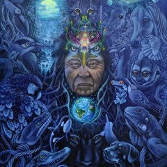 DJ Full Lotus - Mystical Voyagers Visionary Shamanics Show