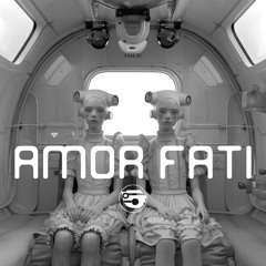 AMOR FATI ( + VIDEO in description )