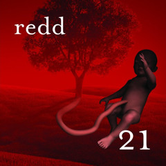 Redd - Seni Buldum (akustik cover)
