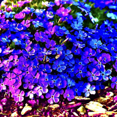 waiting for you - kiid death (prod. lxst ghxul) {bonus track}