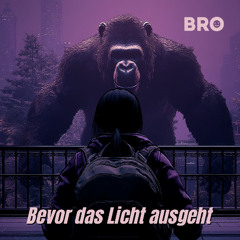Bevor das Licht ausgeht