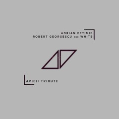 Adrian Eftimie, Robert Georgescu And White - Avicii Tribute